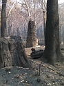 Keppel Hut - Lake Mountain Fires