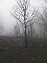 Mt Disappointment Fires